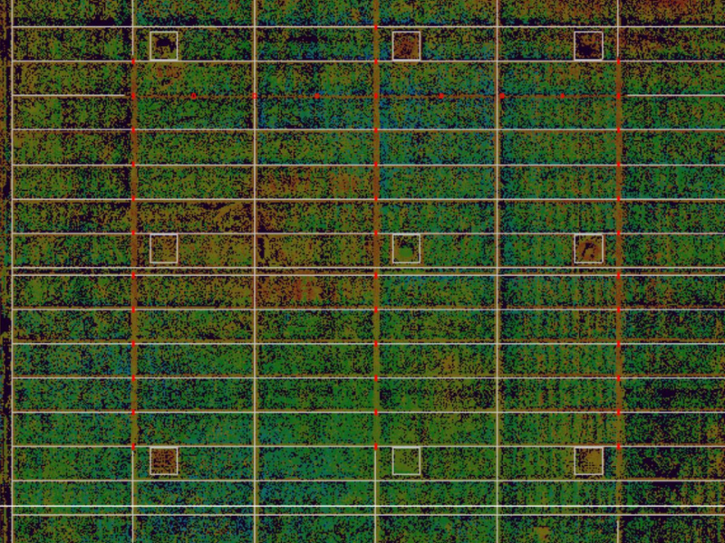 Custom-Rooftop-Fall-Arrest-System-Design-Using-3D-Scanning-Technology